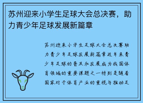 苏州迎来小学生足球大会总决赛，助力青少年足球发展新篇章