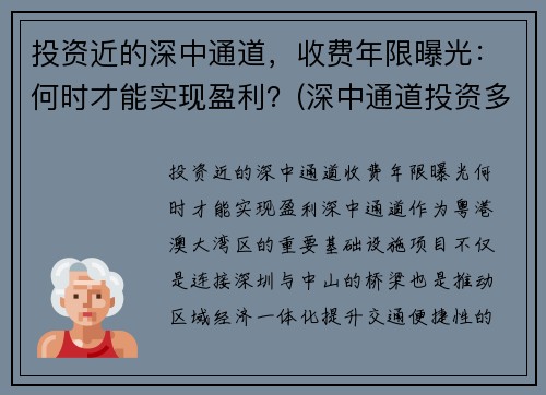 投资近的深中通道，收费年限曝光：何时才能实现盈利？(深中通道投资多少)