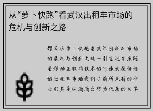 从“萝卜快跑”看武汉出租车市场的危机与创新之路